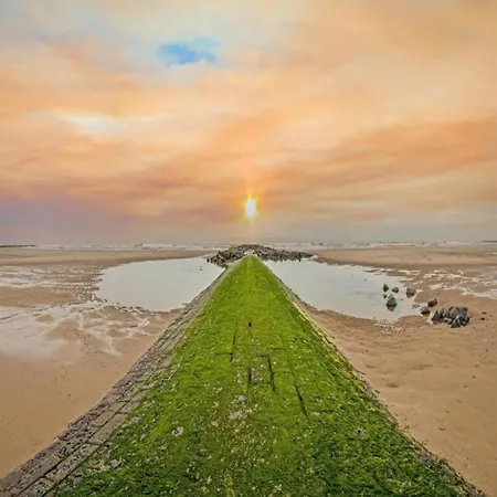 Lejlighed Sleek By The Sea Middelkerke